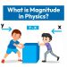 What is Magnitude in Physics?