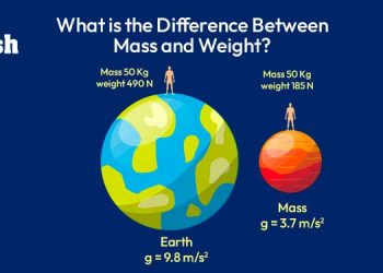 Difference between mass and weight