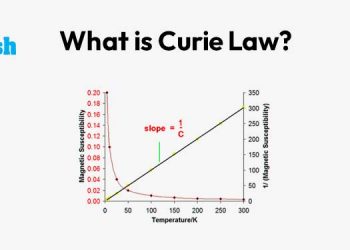 What is Curlie Law?