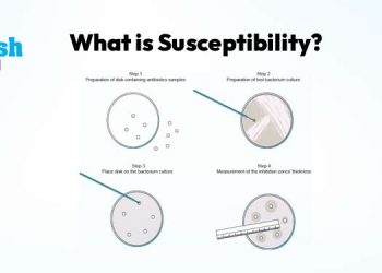 What is Susceptibility?