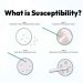 What is Susceptibility?