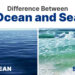 Difference between Ocean and Sea