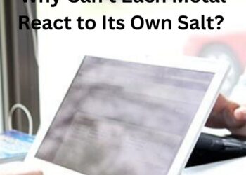 Why Can't Each Metal React to Its Own Salt?