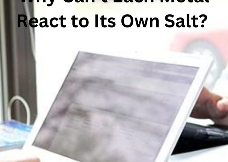 Why Can't Each Metal React to Its Own Salt?