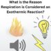 What is the Reason Respiration is Considered an Exothermic Reaction?