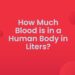 How Much Blood is in a Human Body in Liters?