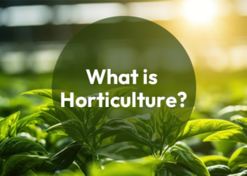 What is Horticulture?