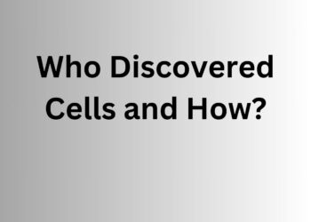 Who Discovered Cells and How?
