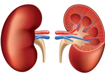 AKI Full Form in Medical Term