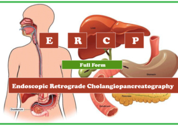 ERCP full form in medica