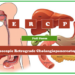 ERCP full form in medica