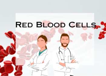 Red Blood Cells