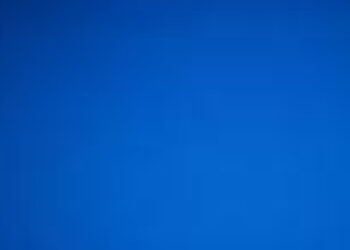 NEET 2024 Revised Results