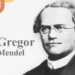 Who-is-known-as-the-father-of-genetics