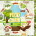 Food Chain: Definition, Types, Examples