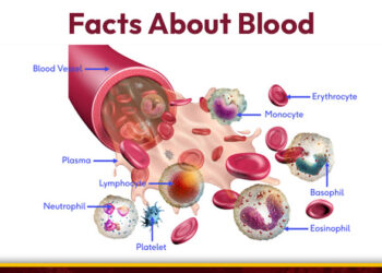 Interesting Facts About Blood