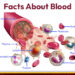 Interesting Facts About Blood