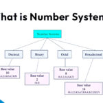 Cardiovascular System: Definition, Parts, Functions & Disorders