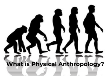 What is Physical Anthropology?