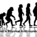 What is Physical Anthropology?