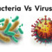 Differences between bacteria and viruses