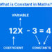What is Constant in Maths?