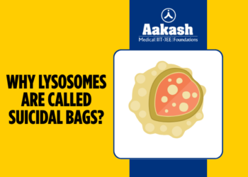 Why Lysosomes are Called Suicidal Bags?