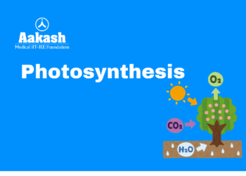 Photosynthesis