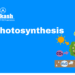 Photosynthesis