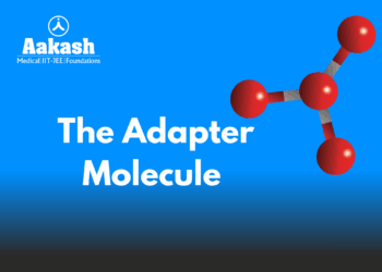 The Adapter Molecule