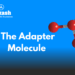 The Adapter Molecule