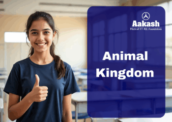 Animal Kingdom