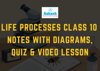 Life Processes Class 10 Notes with Diagrams, Quiz & Video Lesson