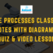 Life Processes Class 10 Notes with Diagrams, Quiz & Video Lesson