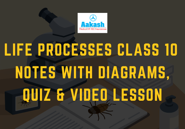 Life Processes Class 10 Notes with Diagrams, Quiz & Video Lesson